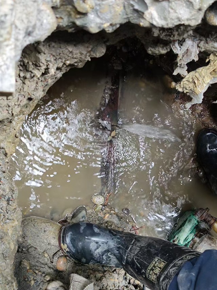 白城地区绿化水管漏水检测维修
